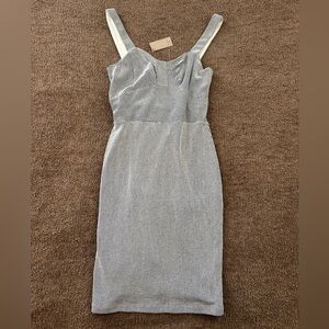 NWT Ann Taylor Bodycon Dress